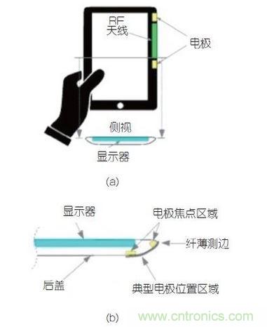 (a)側(cè)剖視圖描述；(b)電極焦點(diǎn)區(qū)域描述